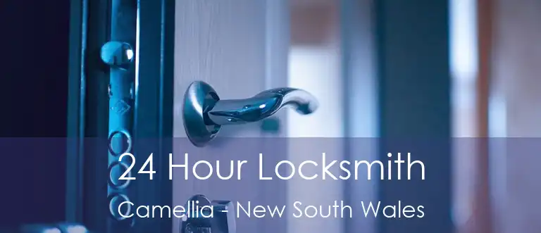 24 Hour Locksmith Camellia - New South Wales