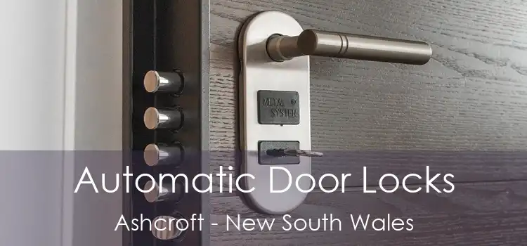 Automatic Door Locks Ashcroft - New South Wales