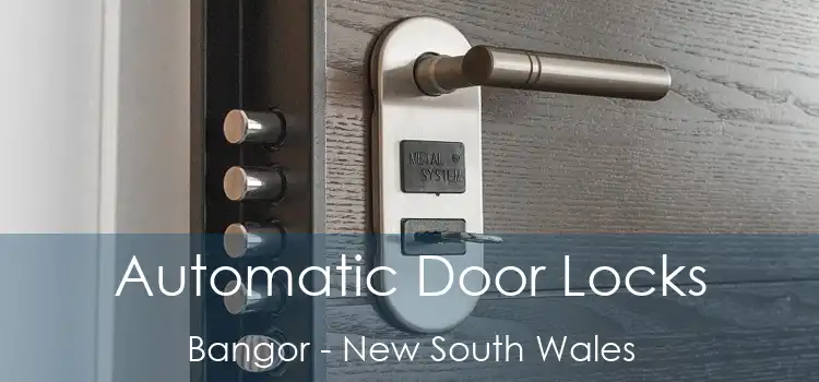 Automatic Door Locks Bangor - New South Wales