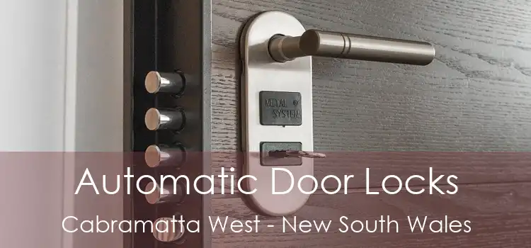Automatic Door Locks Cabramatta West - New South Wales