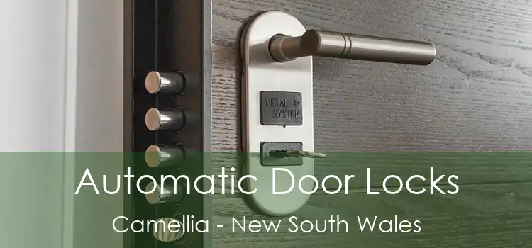 Automatic Door Locks Camellia - New South Wales