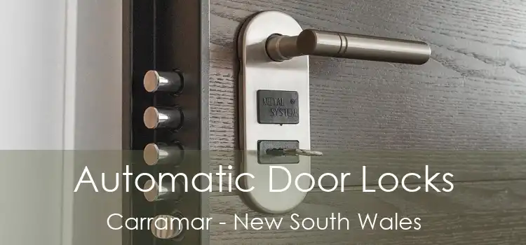 Automatic Door Locks Carramar - New South Wales