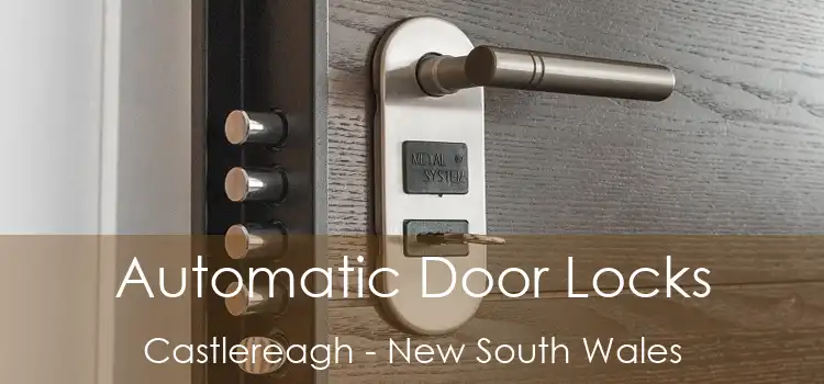 Automatic Door Locks Castlereagh - New South Wales