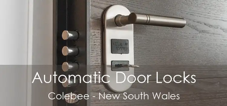 Automatic Door Locks Colebee - New South Wales