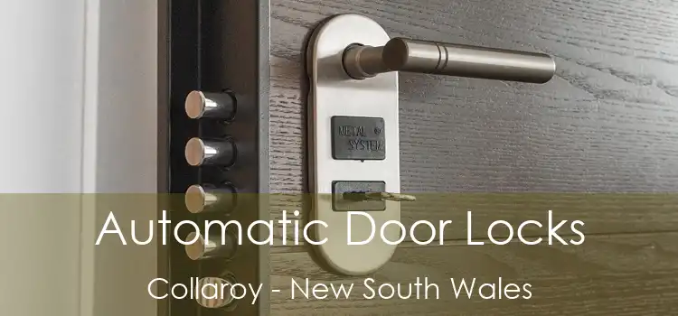 Automatic Door Locks Collaroy - New South Wales