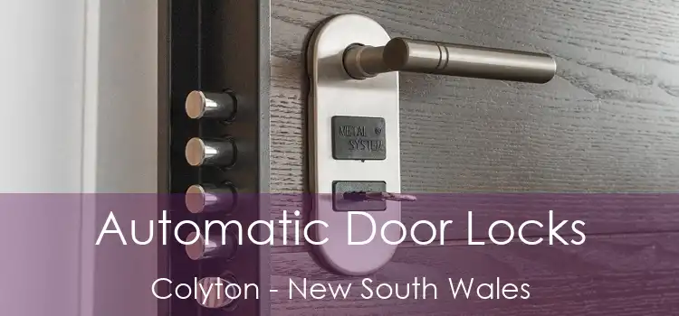 Automatic Door Locks Colyton - New South Wales