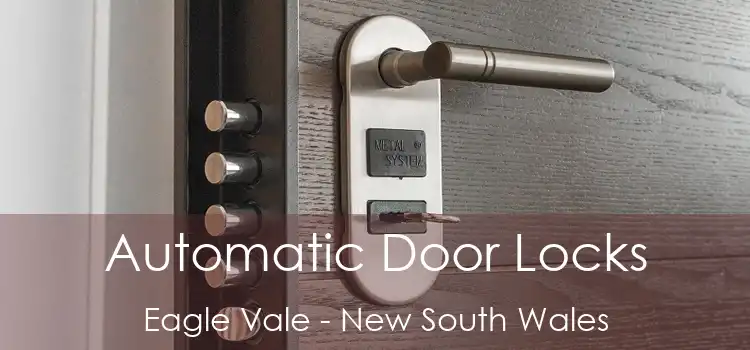 Automatic Door Locks Eagle Vale - New South Wales