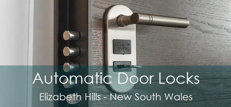 Automatic Door Locks Elizabeth Hills - New South Wales