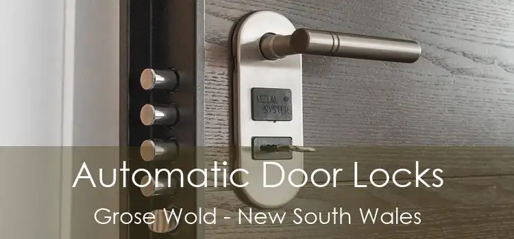 Automatic Door Locks Grose Wold - New South Wales