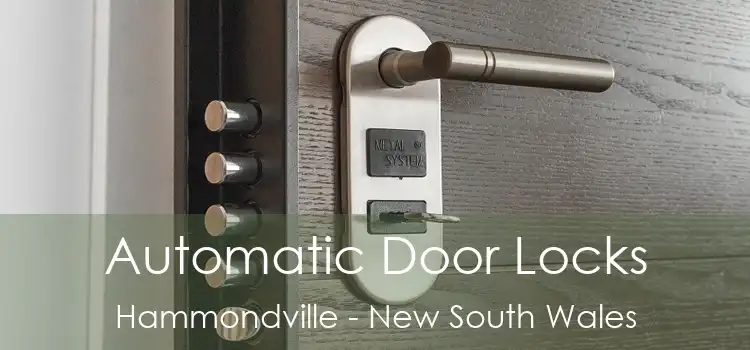 Automatic Door Locks Hammondville - New South Wales