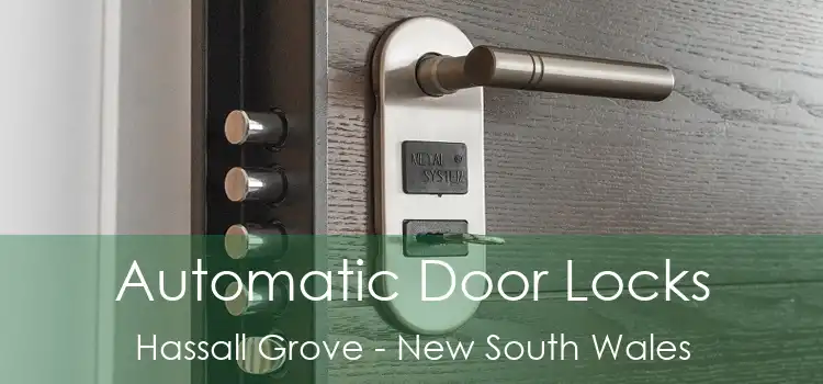 Automatic Door Locks Hassall Grove - New South Wales