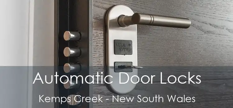 Automatic Door Locks Kemps Creek - New South Wales