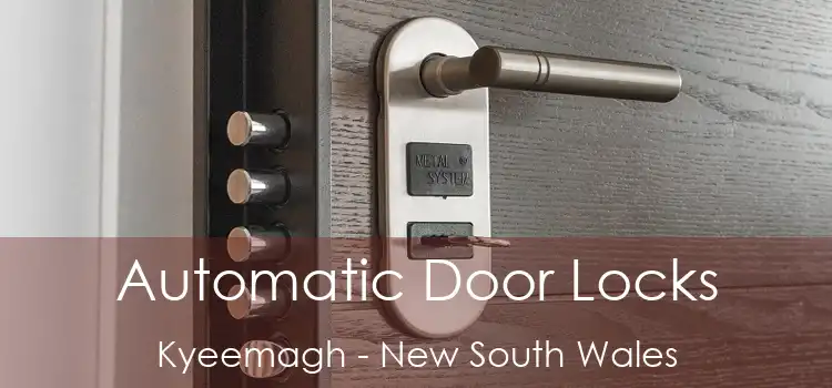 Automatic Door Locks Kyeemagh - New South Wales