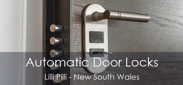Automatic Door Locks Lilli Pilli - New South Wales