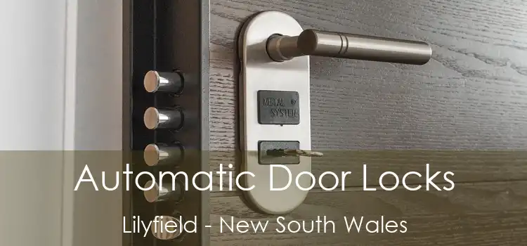 Automatic Door Locks Lilyfield - New South Wales