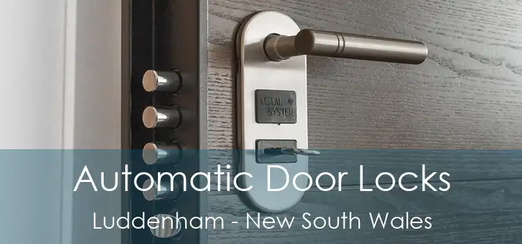 Automatic Door Locks Luddenham - New South Wales
