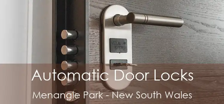 Automatic Door Locks Menangle Park - New South Wales
