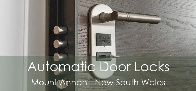 Automatic Door Locks Mount Annan - New South Wales