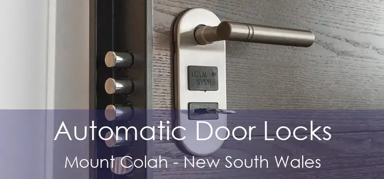 Automatic Door Locks Mount Colah - New South Wales