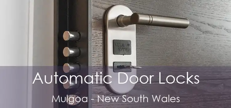 Automatic Door Locks Mulgoa - New South Wales