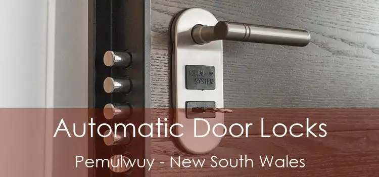 Automatic Door Locks Pemulwuy - New South Wales