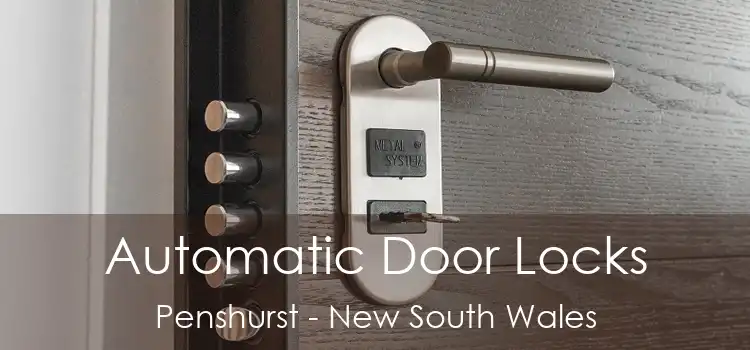 Automatic Door Locks Penshurst - New South Wales