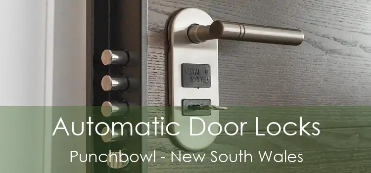 Automatic Door Locks Punchbowl - New South Wales