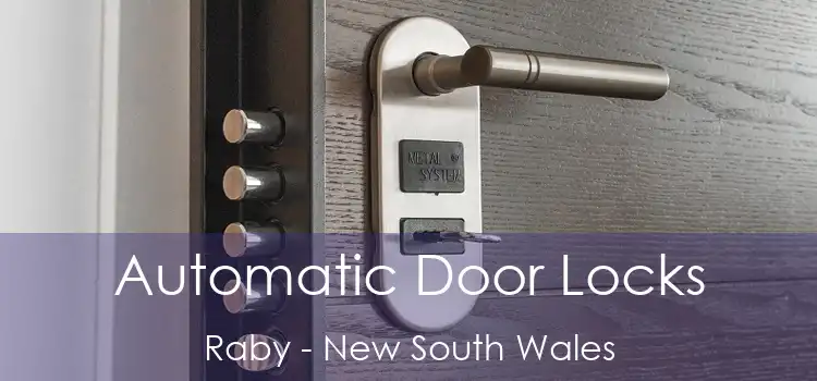 Automatic Door Locks Raby - New South Wales