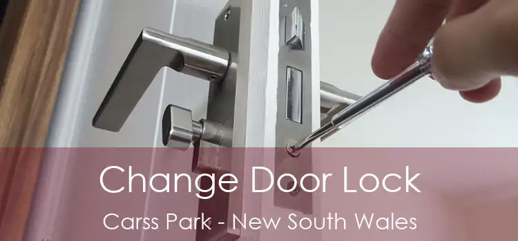 Change Door Lock Carss Park - New South Wales