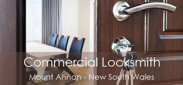 Commercial Locksmith Mount Annan - New South Wales