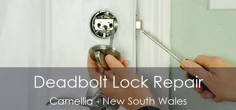 Deadbolt Lock Repair Camellia - New South Wales