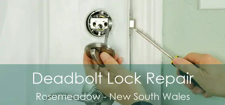 Deadbolt Lock Repair Rosemeadow - New South Wales