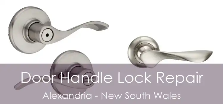 Door Handle Lock Repair Alexandria - New South Wales