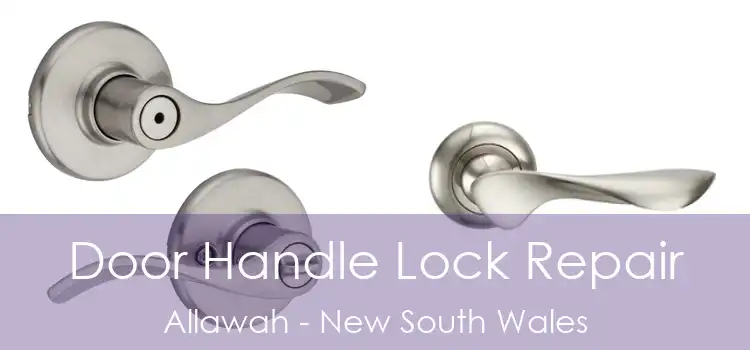 Door Handle Lock Repair Allawah - New South Wales