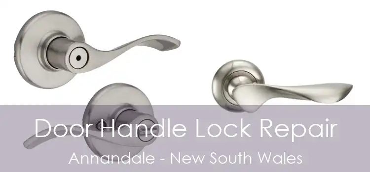 Door Handle Lock Repair Annandale - New South Wales