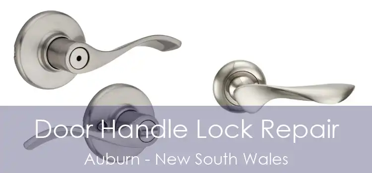 Door Handle Lock Repair Auburn - New South Wales