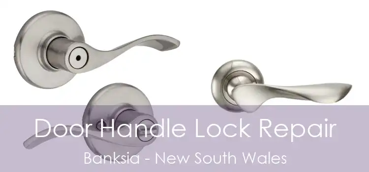 Door Handle Lock Repair Banksia - New South Wales