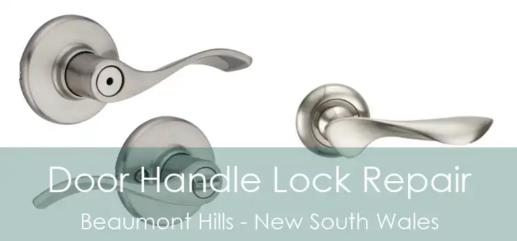 Door Handle Lock Repair Beaumont Hills - New South Wales