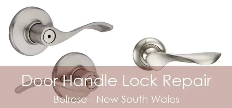 Door Handle Lock Repair Belrose - New South Wales
