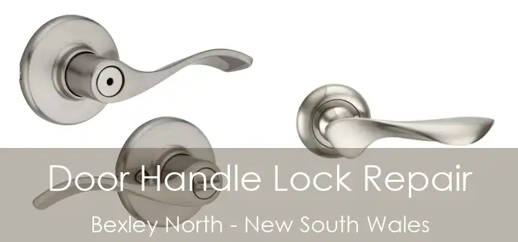 Door Handle Lock Repair Bexley North - New South Wales