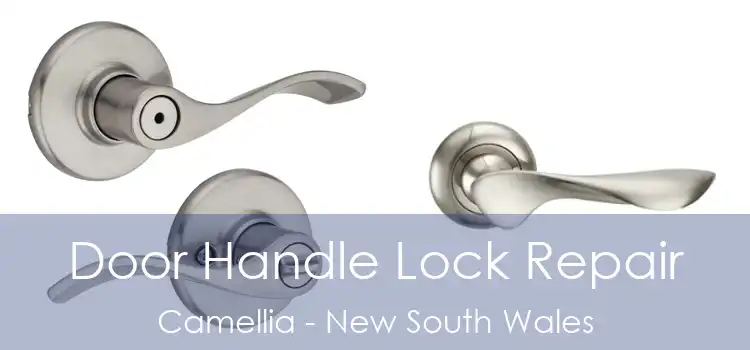Door Handle Lock Repair Camellia - New South Wales