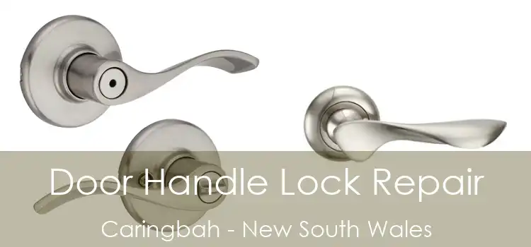Door Handle Lock Repair Caringbah - New South Wales