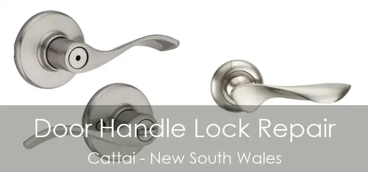 Door Handle Lock Repair Cattai - New South Wales