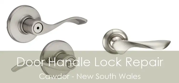 Door Handle Lock Repair Cawdor - New South Wales