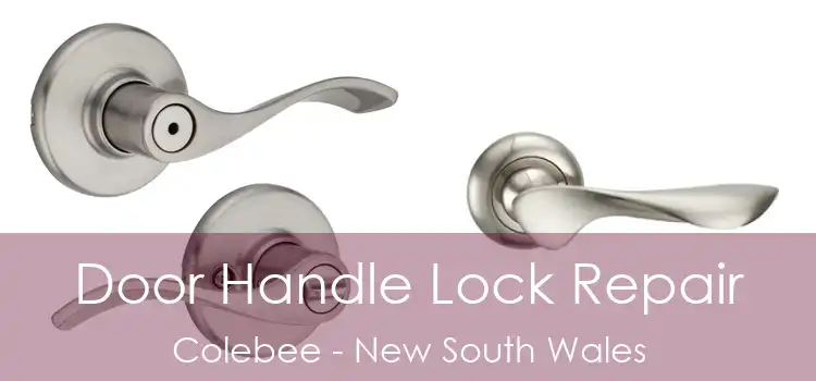 Door Handle Lock Repair Colebee - New South Wales