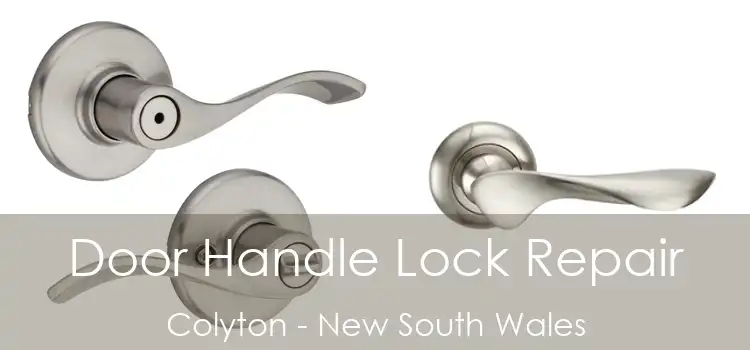 Door Handle Lock Repair Colyton - New South Wales