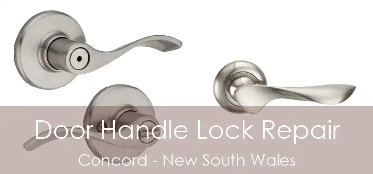 Door Handle Lock Repair Concord - New South Wales