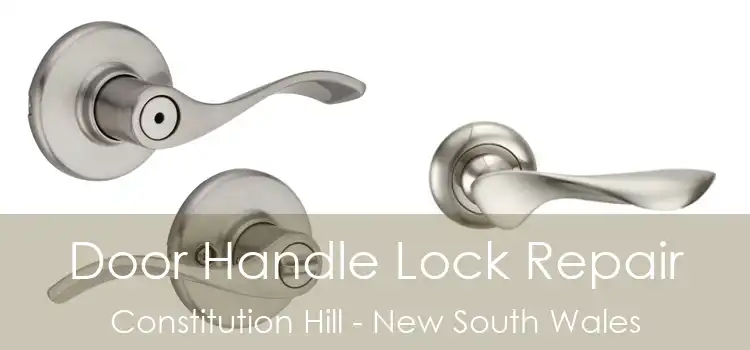 Door Handle Lock Repair Constitution Hill - New South Wales