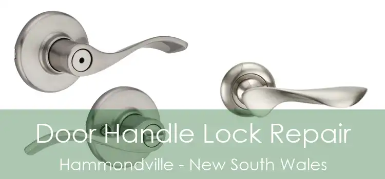 Door Handle Lock Repair Hammondville - New South Wales