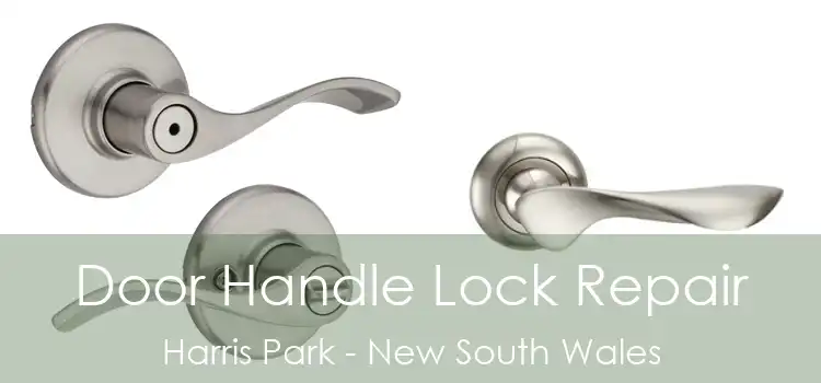 Door Handle Lock Repair Harris Park - New South Wales